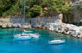 ΕΣΤΙΑΤΟΡΙΟ ΤΣΙΠΟΥΡΑΔΙΚΟ ΤΟ ΚΑΜΑΚΙ ΠΑΤΗΤΗΡΙ ΑΛΟΝΝΗΣΟΣ ΜΑΓΝΗΣΙΑ