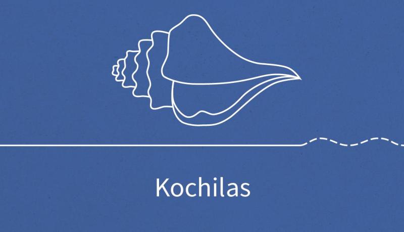 ΨΑΡΟΤΑΒΕΡΝΑ KOCHILAS ΚΙΣΣΑΜΟΣ ΧΑΝΙΑ ΚΡΗΤΗ ΚΟΓΧΥΛΑΚΗ ΙΝΩ