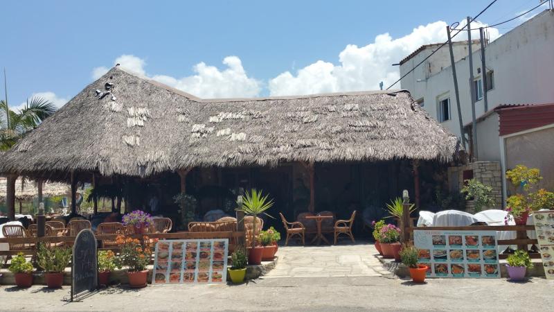 ΕΣΤΙΑΤΟΡΙΟ ΚΑΦΕ ΟΛΥΜΠΟΣ ΚΑΒΡΟΣ ΒΡΥΣΕΣ ΧΑΝΙΑ