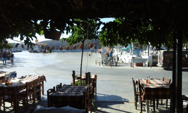 ΨΗΤΟΠΩΛΕΙΟ ΚΡΕΑΤΙΚΑ ΨΑΡΙΩΤΗΣ ΛΙΝΑΡΙΑ ΣΚΥΡΟΣ ΕΥΒΟΙΑ ΨΑΡΙΩΤΗ ΕΛΙΣΑΒΕΤ