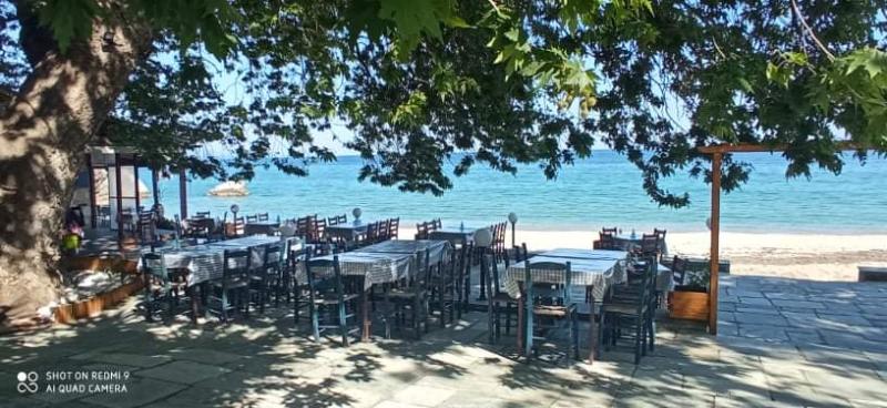 ΕΣΤΙΑΤΟΡΙΟ ΘΑΛΑΣΣΙΝΩΝ ΤΑΒΕΡΝΑ ΧΡΥΣΗ ΑΚΤΗ ΜΙΚΡΟ ΠΗΛΙΟ ΜΑΝΓΗΣΙΑ