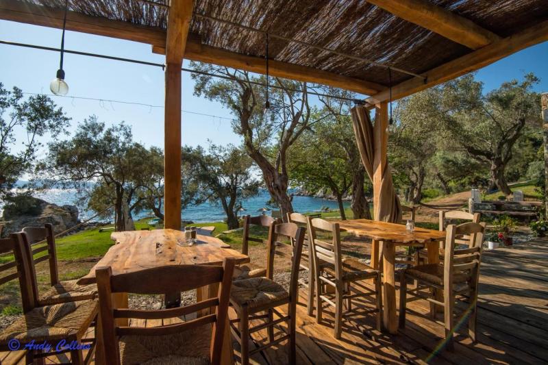 ΨΑΡΟΤΑΒΕΡΝΑ ΕΣΤΙΑΤΟΡΙΟ ΤΑΡΣΑΝΑΣ ΤΣΙΜΠΛΙΑΡΑΚΗΣ ΑΡΓΥΡΙΟΣ ΚΕΧΡΙΕΣ ΣΚΙΑΘΟΣ ΜΑΓΝΗΣΙΑ