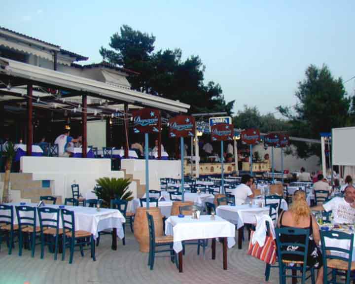 ΨΑΡΟΤΑΒΕΡΝΑ ΔΙΑΜΑΝΤΗΣ ΣΙΒΗΡΗ ΚΑΣΣΑΝΔΡΕΙΑ ΧΑΛΚΙΔΙΚΗ