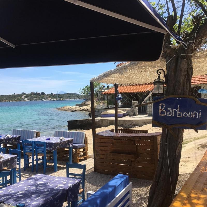 ΨΑΡΟΤΑΒΕΡΝΑ ΕΣΤΙΑΤΟΡΙΟ ΘΑΛΑΣΣΙΝΩΝ BARBOUNI SEAFOOD RESTAURANT ΟΡΜΟΣ ΠΑΝΑΓΙΑΣ ΣΙΘΩΝΙΑ ΧΑΛΚΙΔΙΚΗ